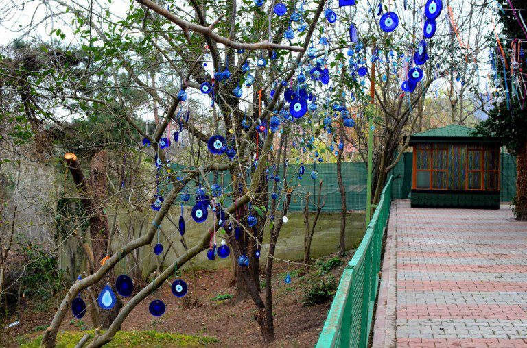 nazar boncuğu ağaçta